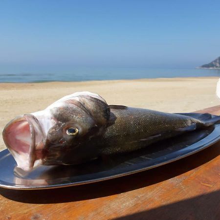 Bungalow Minonthebeach Γκαέτα Εξωτερικό φωτογραφία