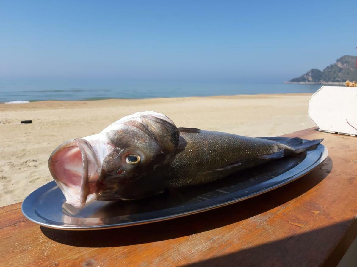 Bungalow Minonthebeach Γκαέτα Εξωτερικό φωτογραφία